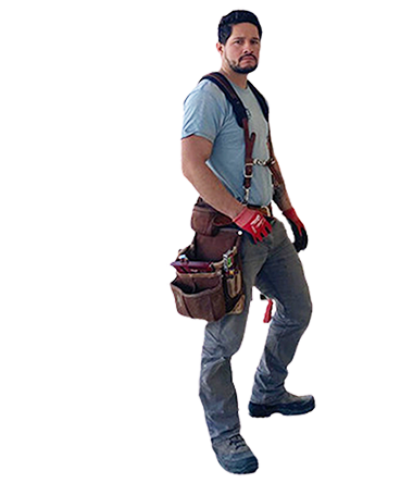 David Team